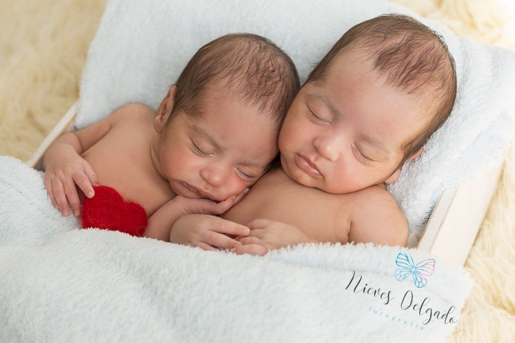 fotos-gemelos-sevilla