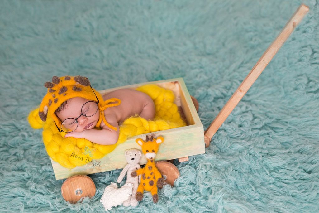 fotografa-en-apuros-formación