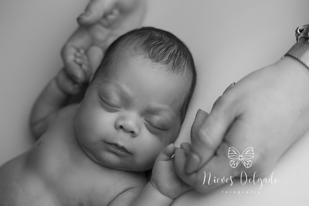 Aprende a realizar sesiones de fotos de recién nacidos con éxito